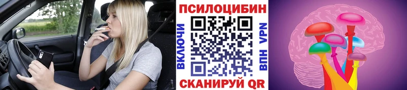 Галлюциногенные грибы Psilocybe  закладки  Джанкой 